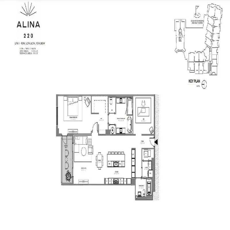 Plate 9