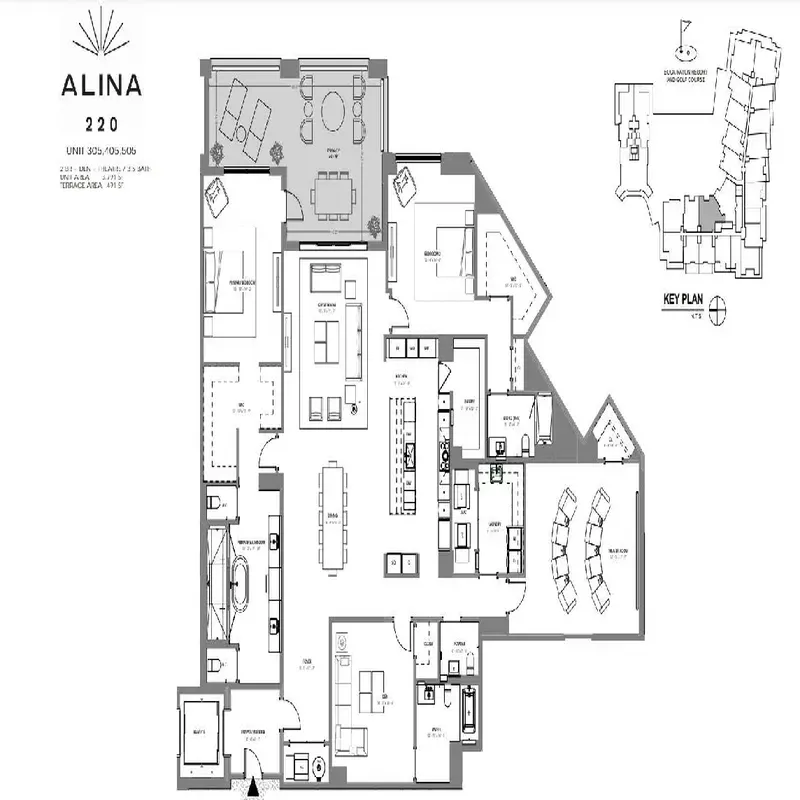 Plate 11
